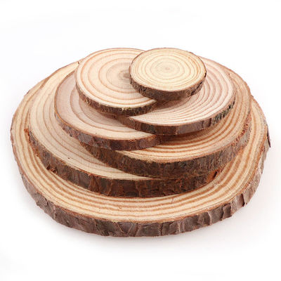 16 CM Niedokończone plastry naturalnego drewna Drewniane dyski Rzemiosło