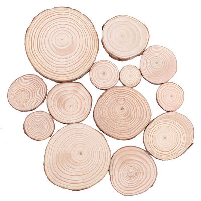16 CM Niedokończone plastry naturalnego drewna Drewniane dyski Rzemiosło