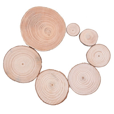 Kora Kora 12 cm Niedokończone wyroby z drewna Plastry naturalnego drewna